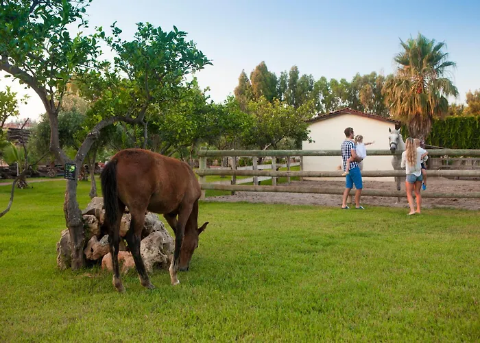 Club Turan World - Kids Concept Hotel 5*