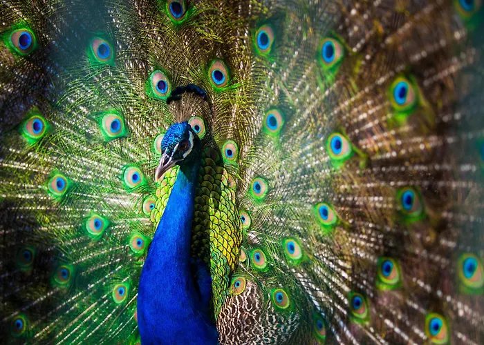 מלון Club Turan World - Kids Concept