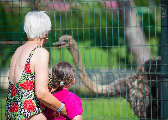 Club Turan World - Kids Concept Side