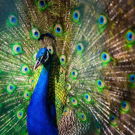 Hotel Club Turan World - Kids Concept