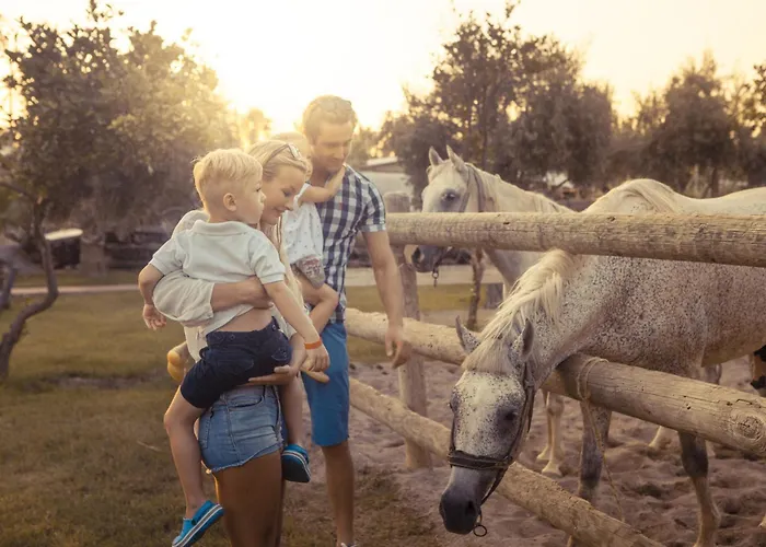 图兰王子世界俱乐部儿童概念酒店 5*